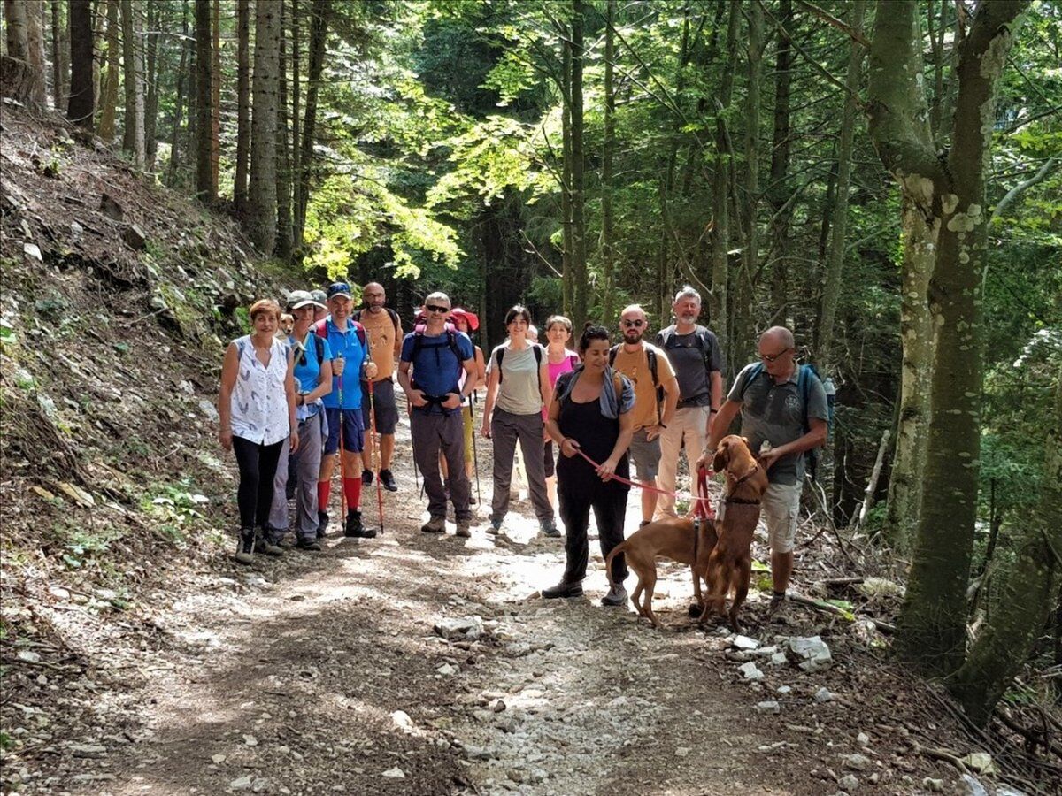 Trekking in Lessinia: dal Vajo delle Anguille al Vajo dei Modi Trekking in Lessinia: dal Vajo delle Anguille al Vajo dei Modi desktop picture