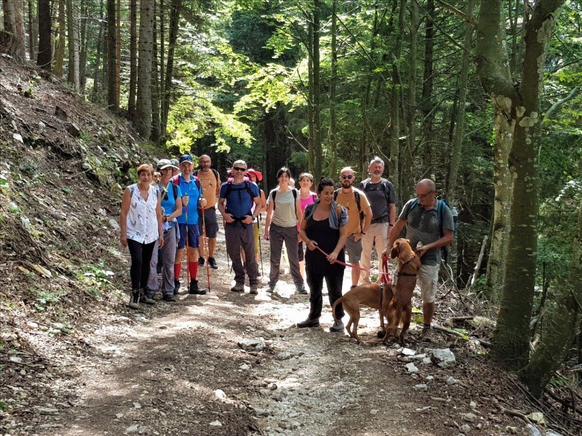 Trekking in Lessinia: dal Vajo delle Anguille al Vajo dei Modi desktop picture