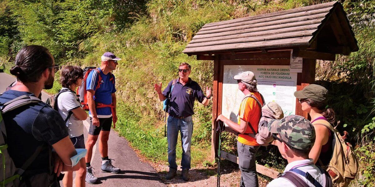 Trekking in Lessinia: dal Vajo delle Anguille al Vajo dei Modi desktop picture