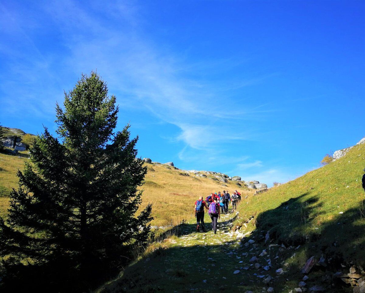 Trekking in Lessinia: dal Vajo delle Anguille al Vajo dei Modi desktop picture