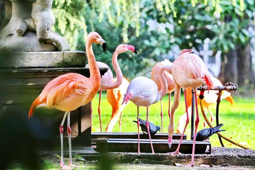 Un Dolce Tour tra il Quartiere del Silenzio e i Giardini di Porta Venezia desktop picture