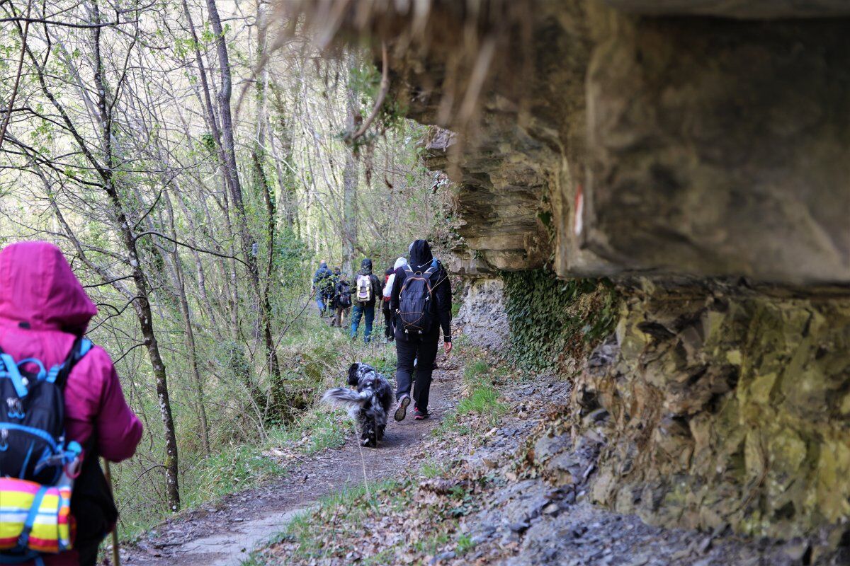 Trekking da Badia Moscheta alle fragorose Cascate del Rio Rovigo desktop picture