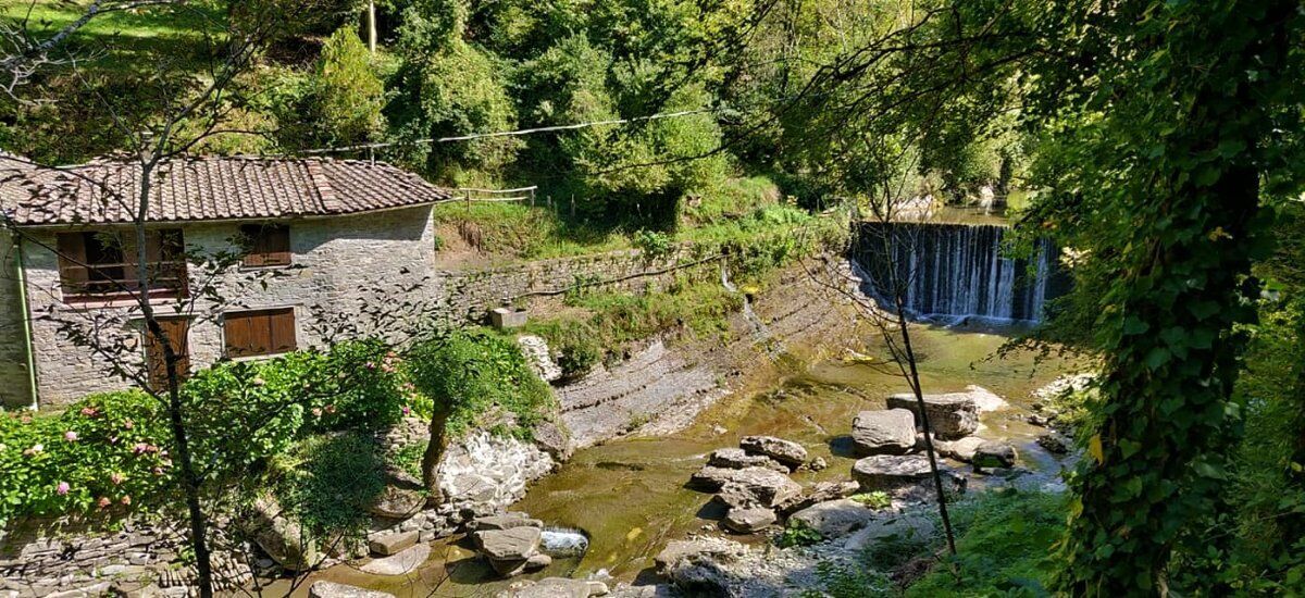 Trekking con Picnic: Badia Moscheta e le Cascate del Rio Rovigo Trekking con Picnic: Badia Moscheta e le Cascate del Rio Rovigo desktop picture