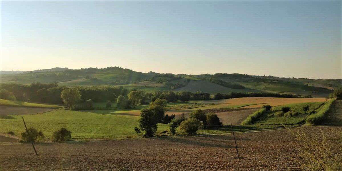Big Bench Lilla: Passeggiata Serale nel Cuore del Monferrato Big Bench Lilla: Passeggiata Serale nel Cuore del Monferrato desktop picture