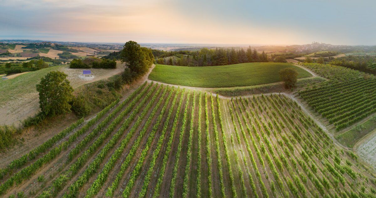 Big Bench Lilla: Passeggiata Serale nel Cuore del Monferrato desktop picture