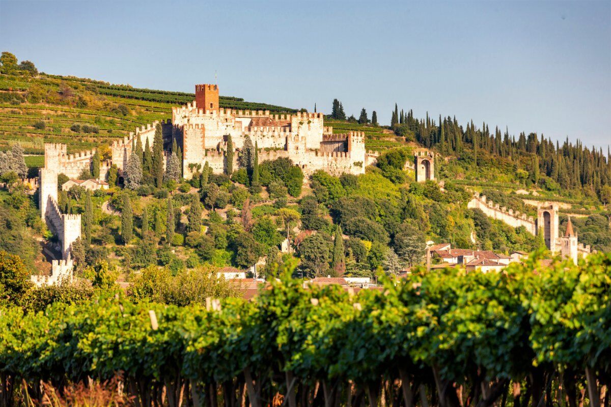 Tra Soave e Monteforte d’Alpone: Walking e Yoga in simbiosi con la Natura desktop picture