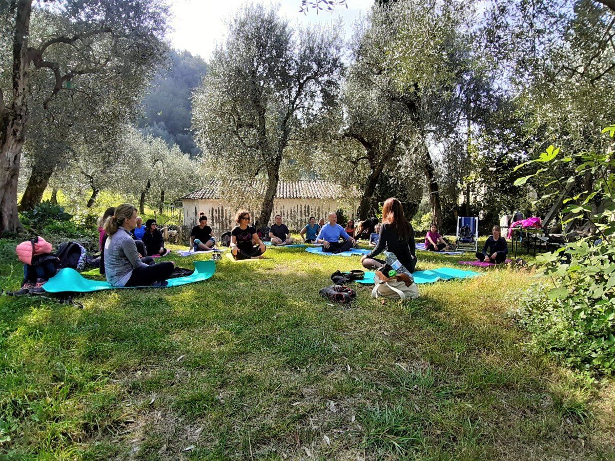 Yoga e Passeggiata Panoramica alle Pendici del Monte Baldo desktop picture