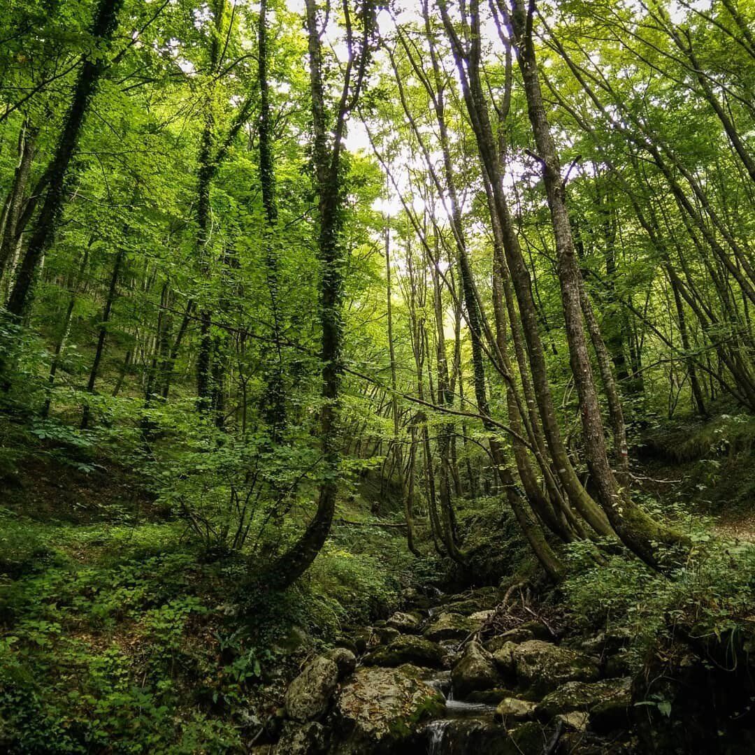 Rigenerante Percorso nella Radura delle Cascate di San Giovanni desktop picture