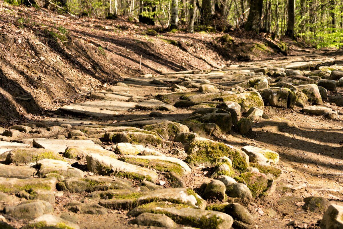 Camminando nella Via Degli Dei: Tra Storia, Natura e Panorami Mozzafiato (5notti/6giorni) Camminando nella Via Degli Dei: Tra Storia, Natura e Panorami Mozzafiato (5notti/6giorni) desktop picture