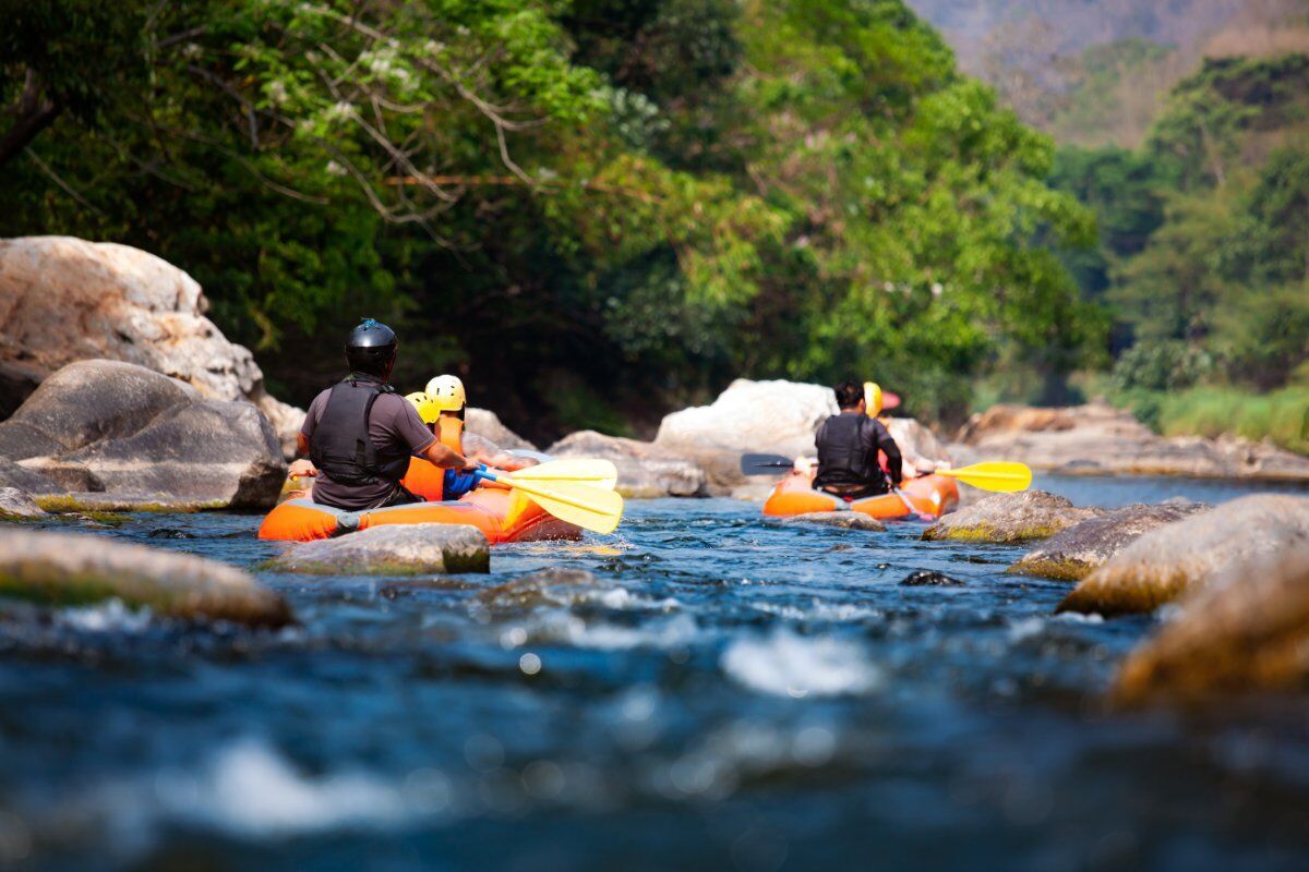 Due Giorni Inediti: Il Bosco dei Poeti e un Emozionante Rafting nel Fiume Adige Due Giorni Inediti: Il Bosco dei Poeti e un Emozionante Rafting nel Fiume Adige desktop picture