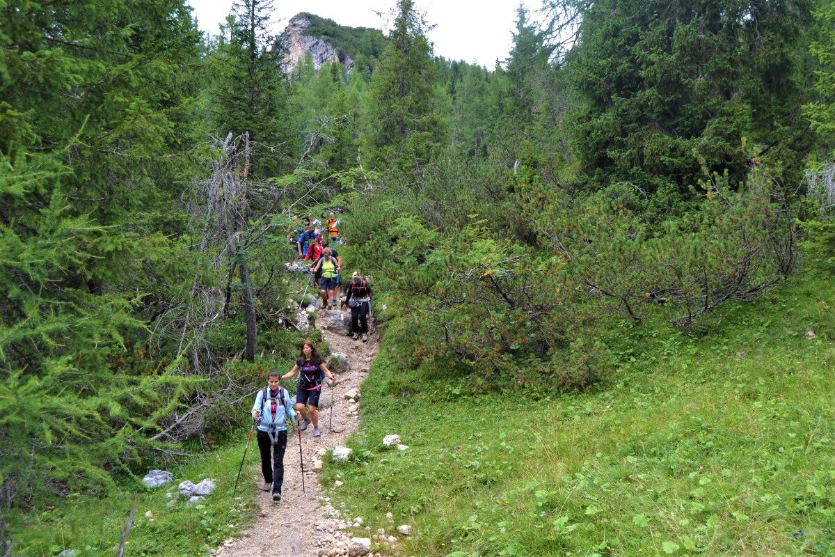 Trekking panoramico con Cena in Rifugio al Monte Pelmo desktop picture