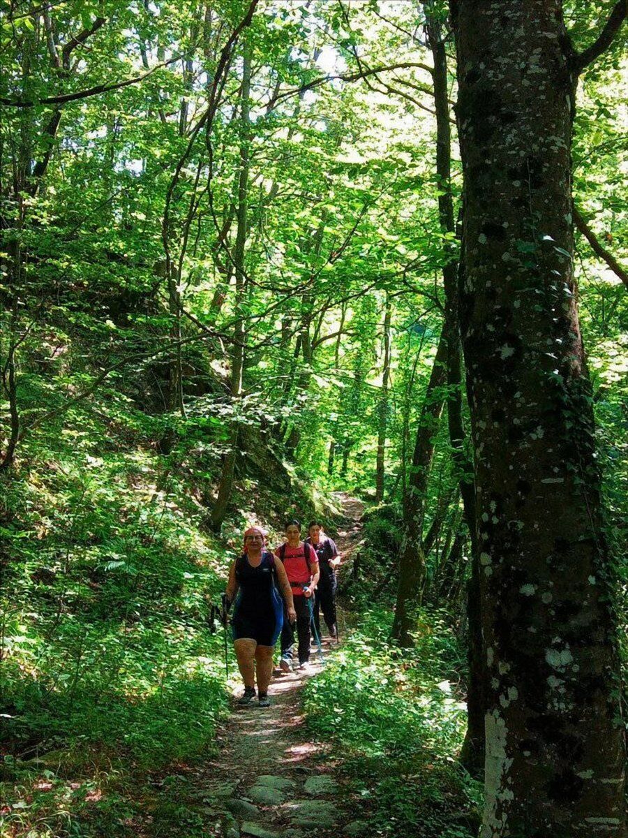 I favolosi borghi del bolognese: escursione da Monteacuto a Tresana I favolosi borghi del bolognese: escursione da Monteacuto a Tresana desktop picture