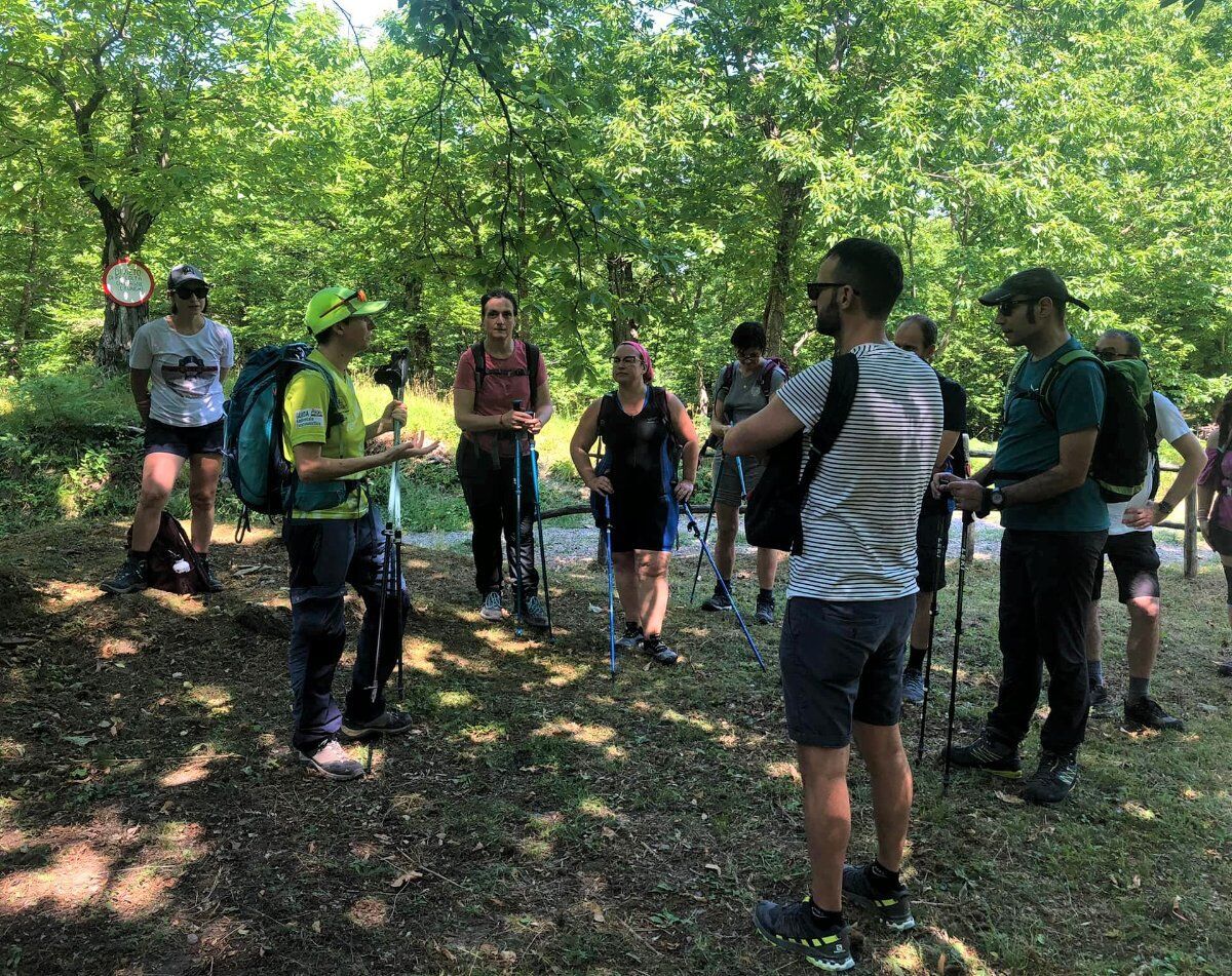I favolosi borghi del bolognese: escursione da Monteacuto a Tresana I favolosi borghi del bolognese: escursione da Monteacuto a Tresana desktop picture