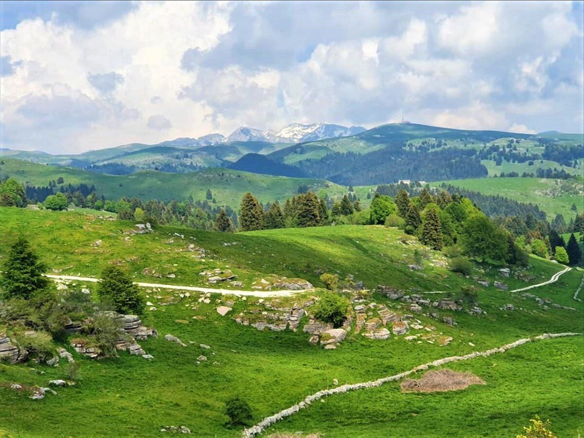 Camminata in Lessinia: dal Rifugio Bocca di Selva al Vajo dell’Anguilla desktop picture