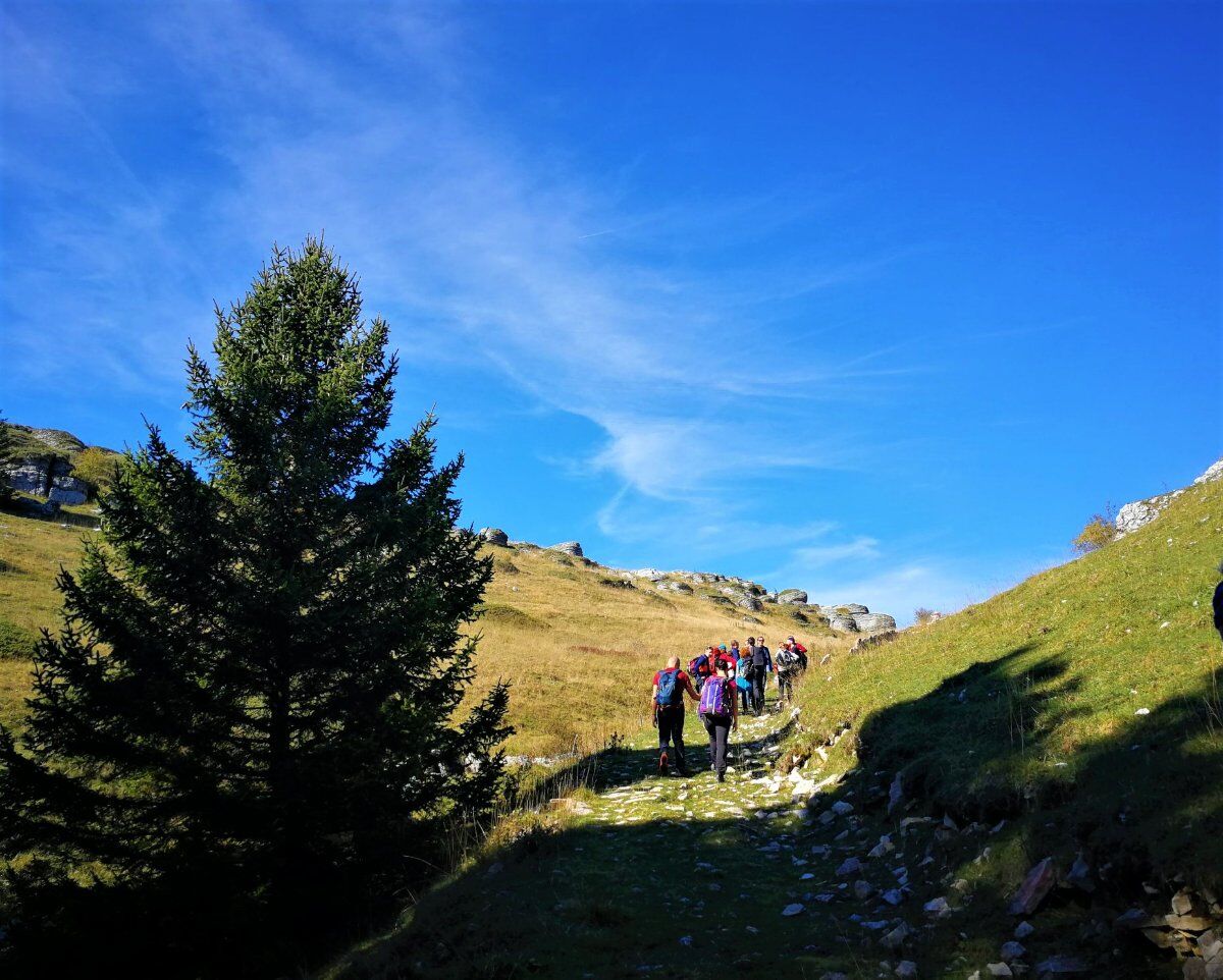 Camminata in Lessinia: dal Rifugio Bocca di Selva al Vajo dell’Anguilla desktop picture