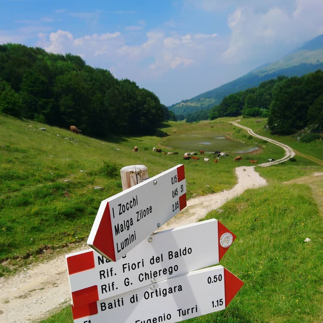 Nel Cuore del Baldo: I Sentieri dalle Due Pozze a Malga Ortigara Nel Cuore del Baldo: I Sentieri dalle Due Pozze a Malga Ortigara desktop picture