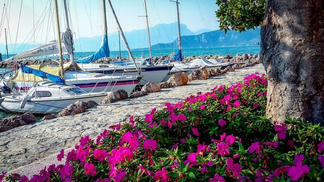 Passeggiata con Yoga tra gli Splendori di Lazise e Cisano desktop picture