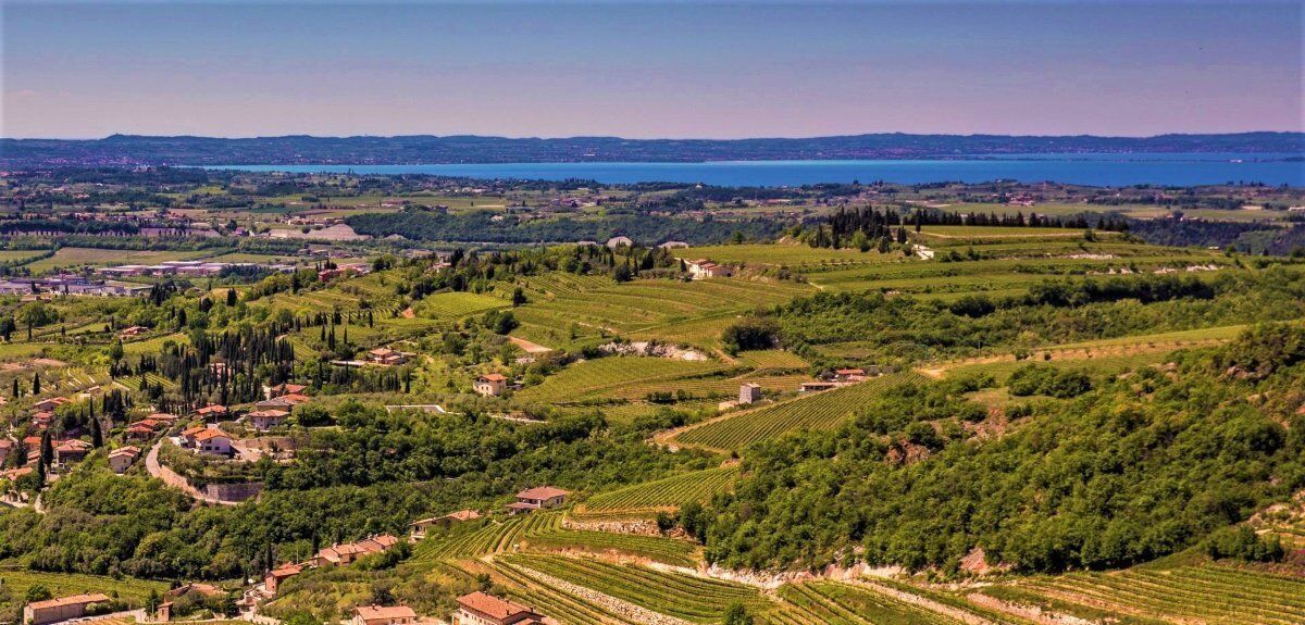 Walking e Yoga nelle Terre dell’Amarone Walking e Yoga nelle Terre dell’Amarone desktop picture