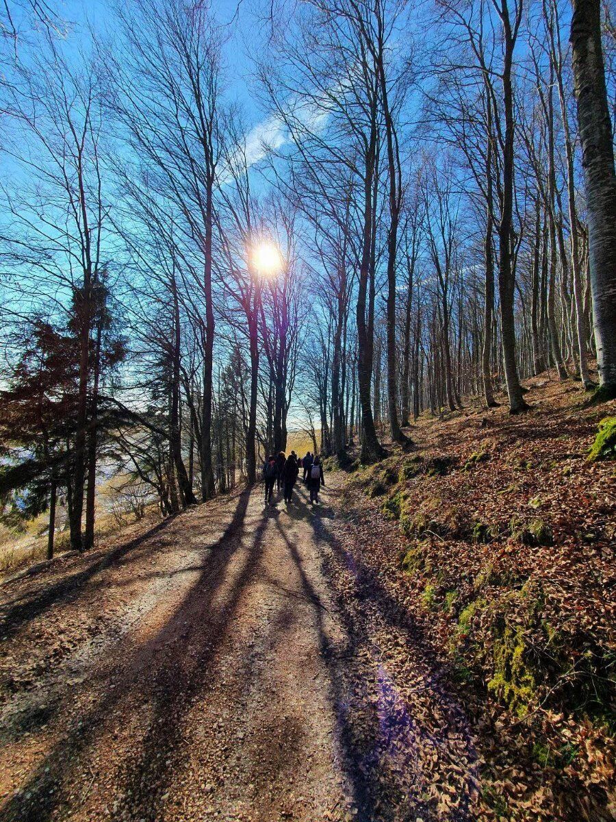 Trekking nella Valle delle Sfingi: I Labirinti di Pietra in Lessinia Trekking nella Valle delle Sfingi: I Labirinti di Pietra in Lessinia desktop picture