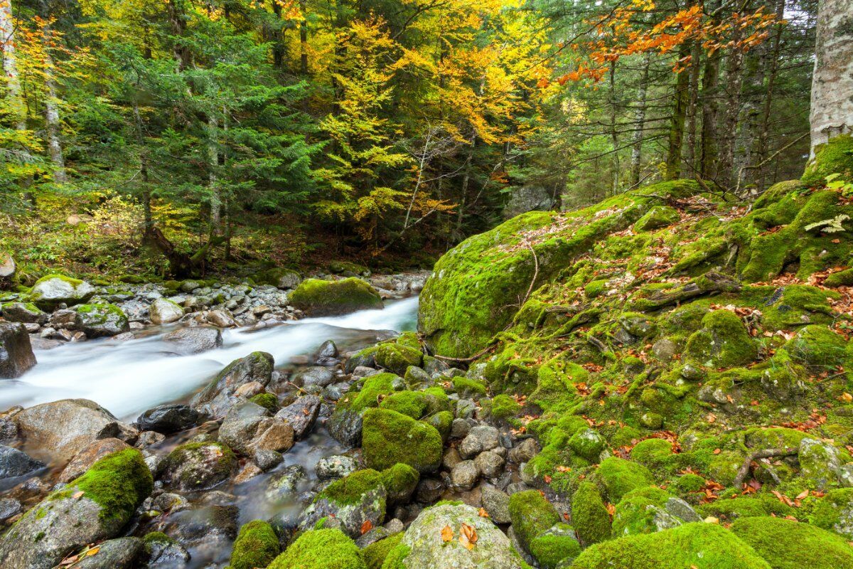 Bagni di Masino: I Fiabeschi Sentieri sulle Orme del Gigiat Bagni di Masino: I Fiabeschi Sentieri sulle Orme del Gigiat desktop picture
