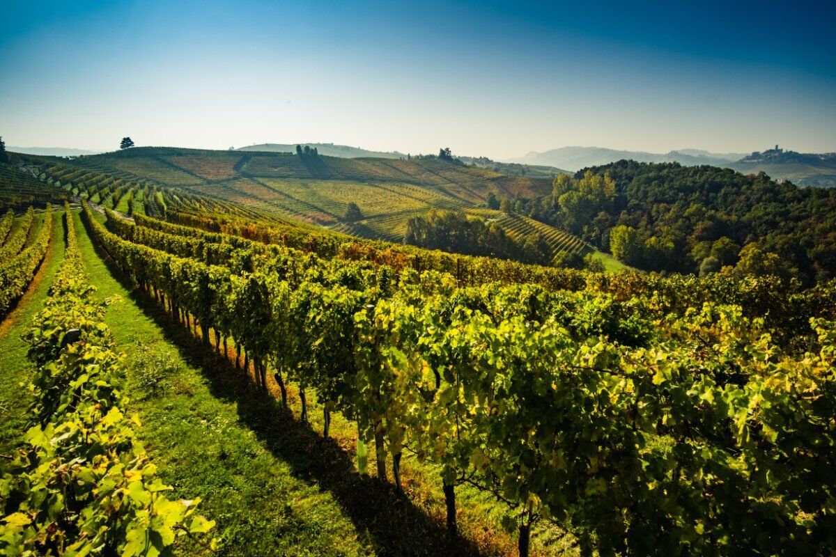 Pozzol Groppo e il Castello dei Malaspina: Colori d’Autunno nel Tortonese - POMERIGGIO desktop picture