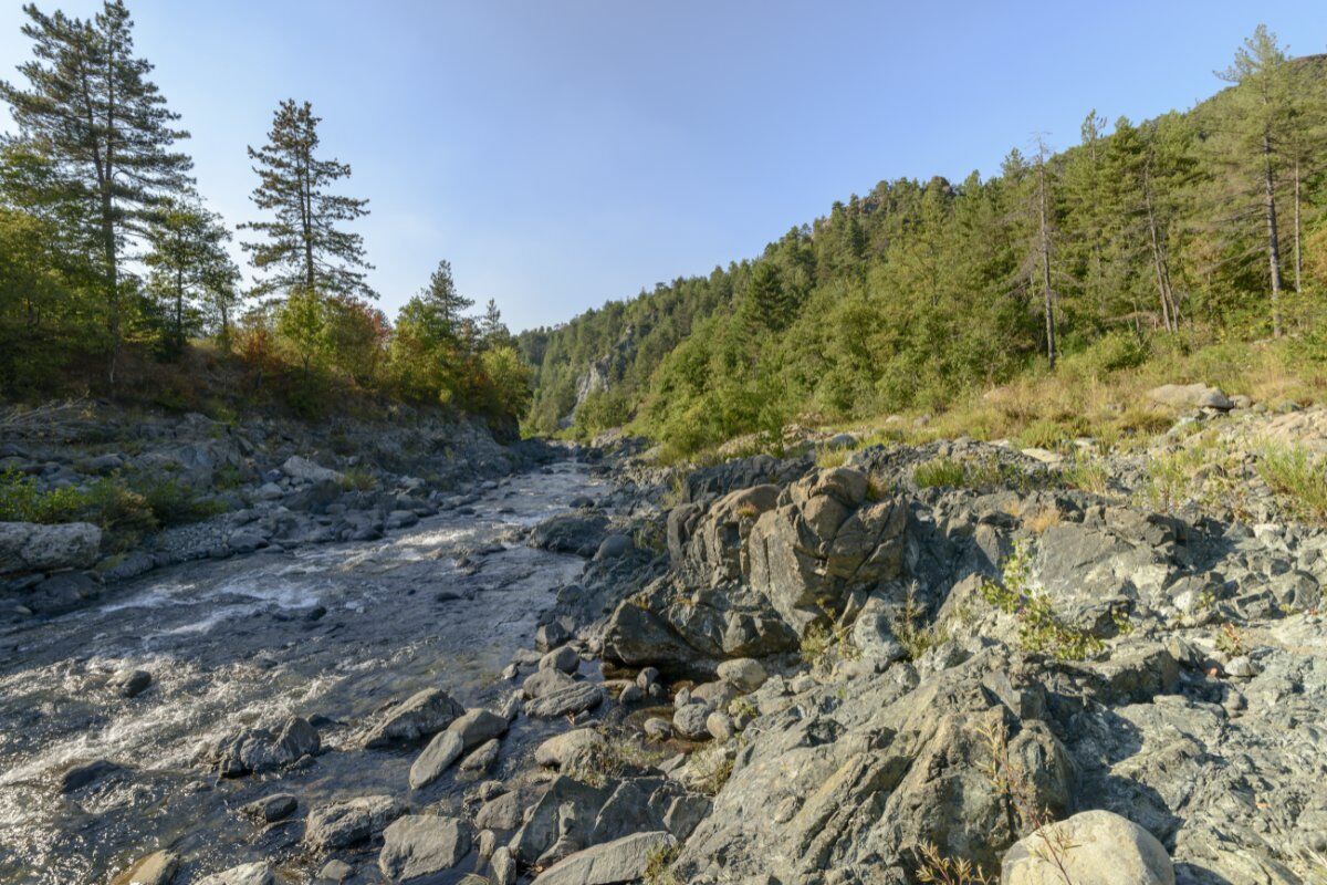Badia di Tiglieto: Escursione tra Natura e Storia Badia di Tiglieto: Escursione tra Natura e Storia desktop picture