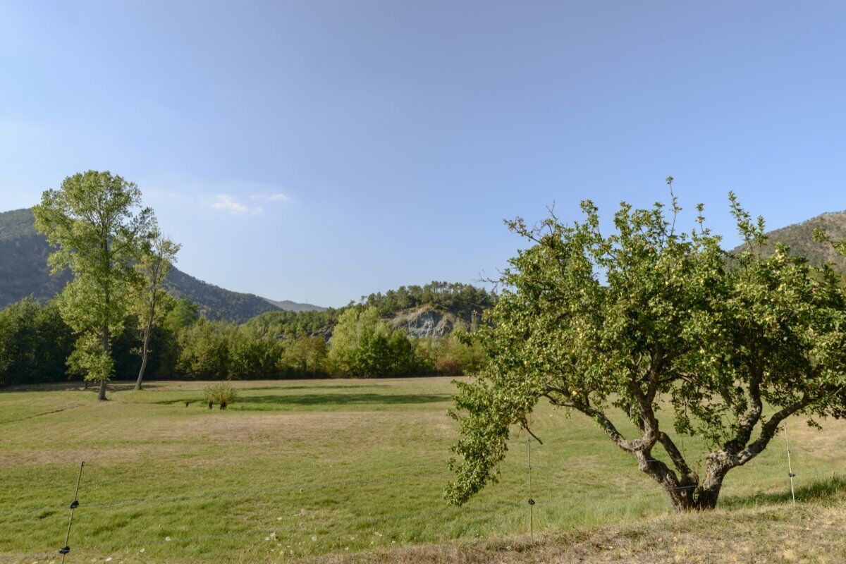 Badia di Tiglieto: Escursione tra Natura e Storia desktop picture