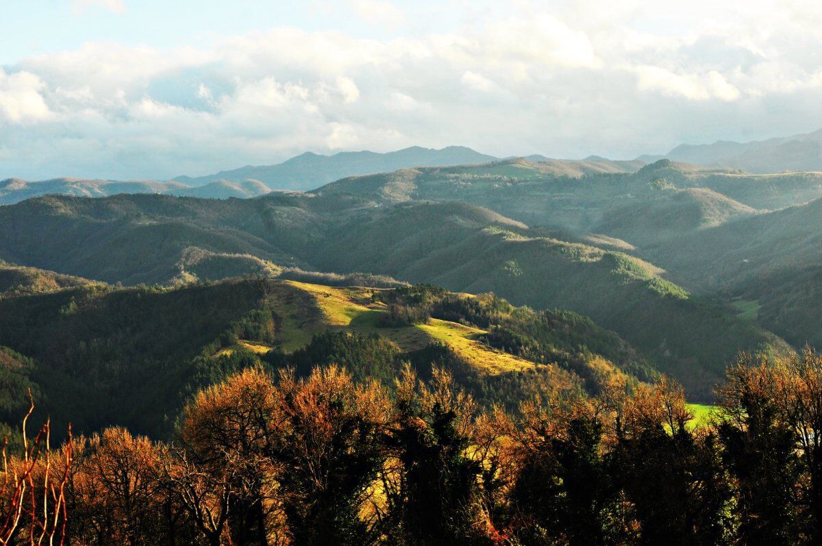 Il Monte Scarpiglione: Terrazza Panoramica dell'Altopiano delle Pizzorne desktop picture