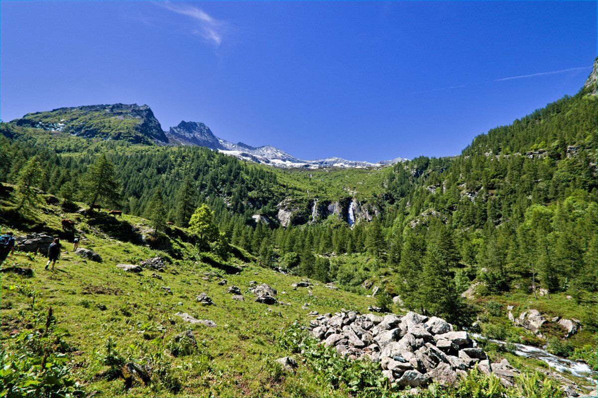 Pian Ciamarella: Passeggiata tra gli alpeggi delle Valli di Lanzo desktop picture