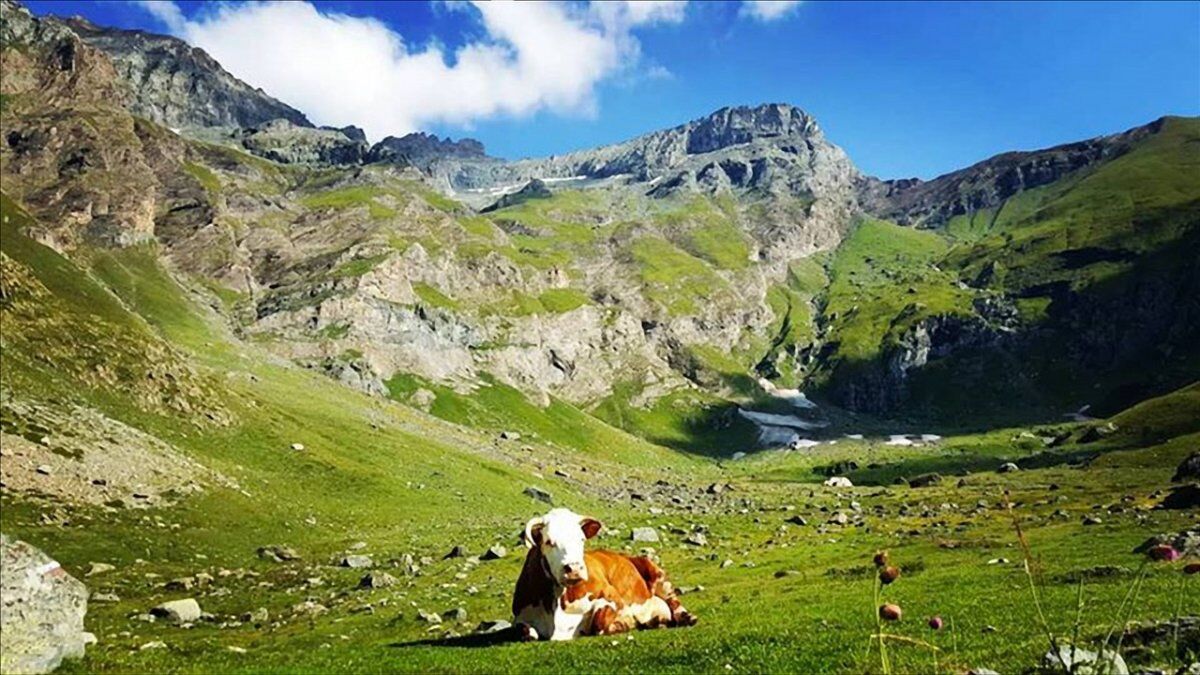 Pian Ciamarella: Passeggiata tra gli alpeggi delle Valli di Lanzo desktop picture