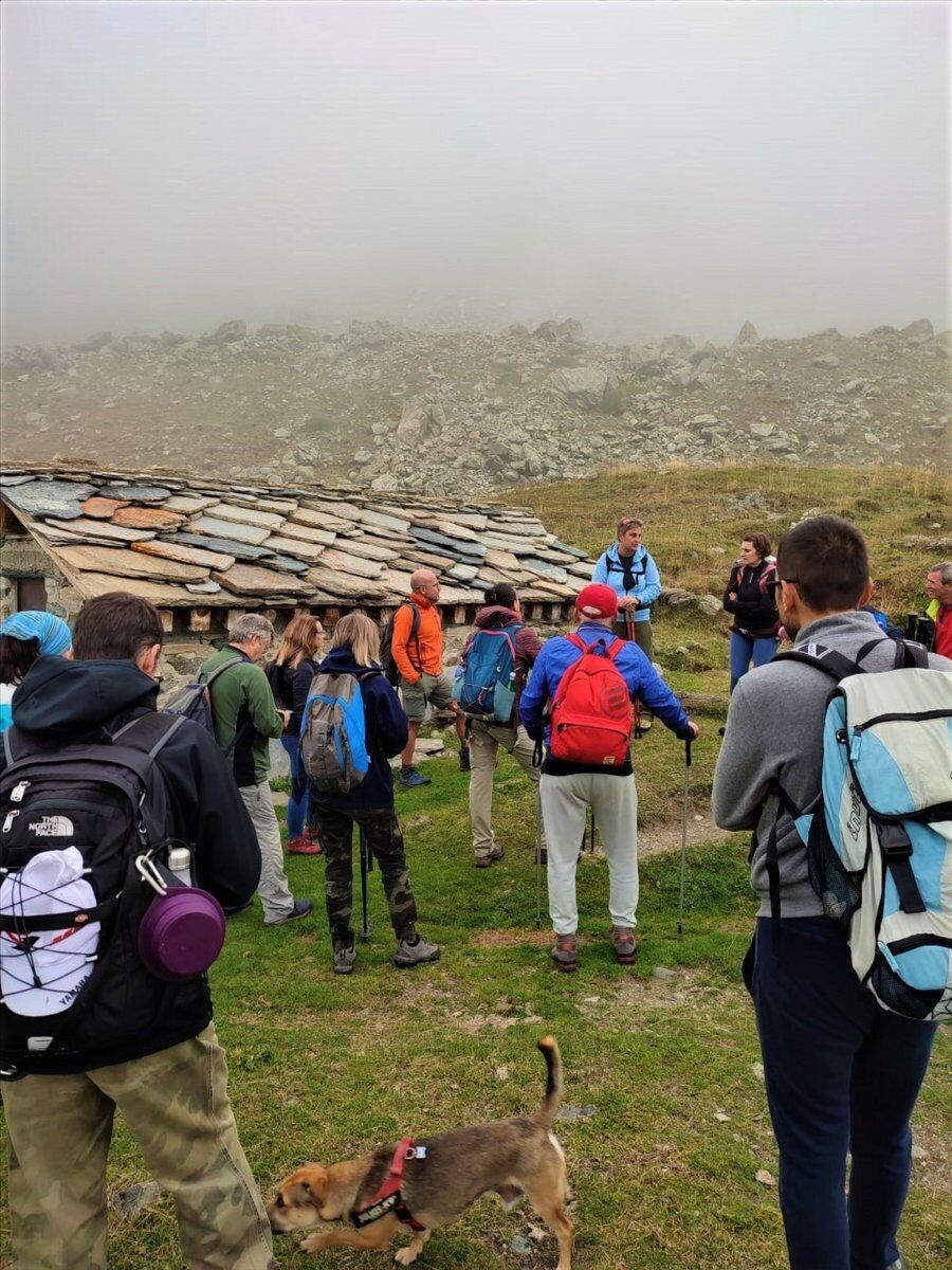 Pian Ciamarella: Passeggiata tra gli alpeggi delle Valli di Lanzo desktop picture