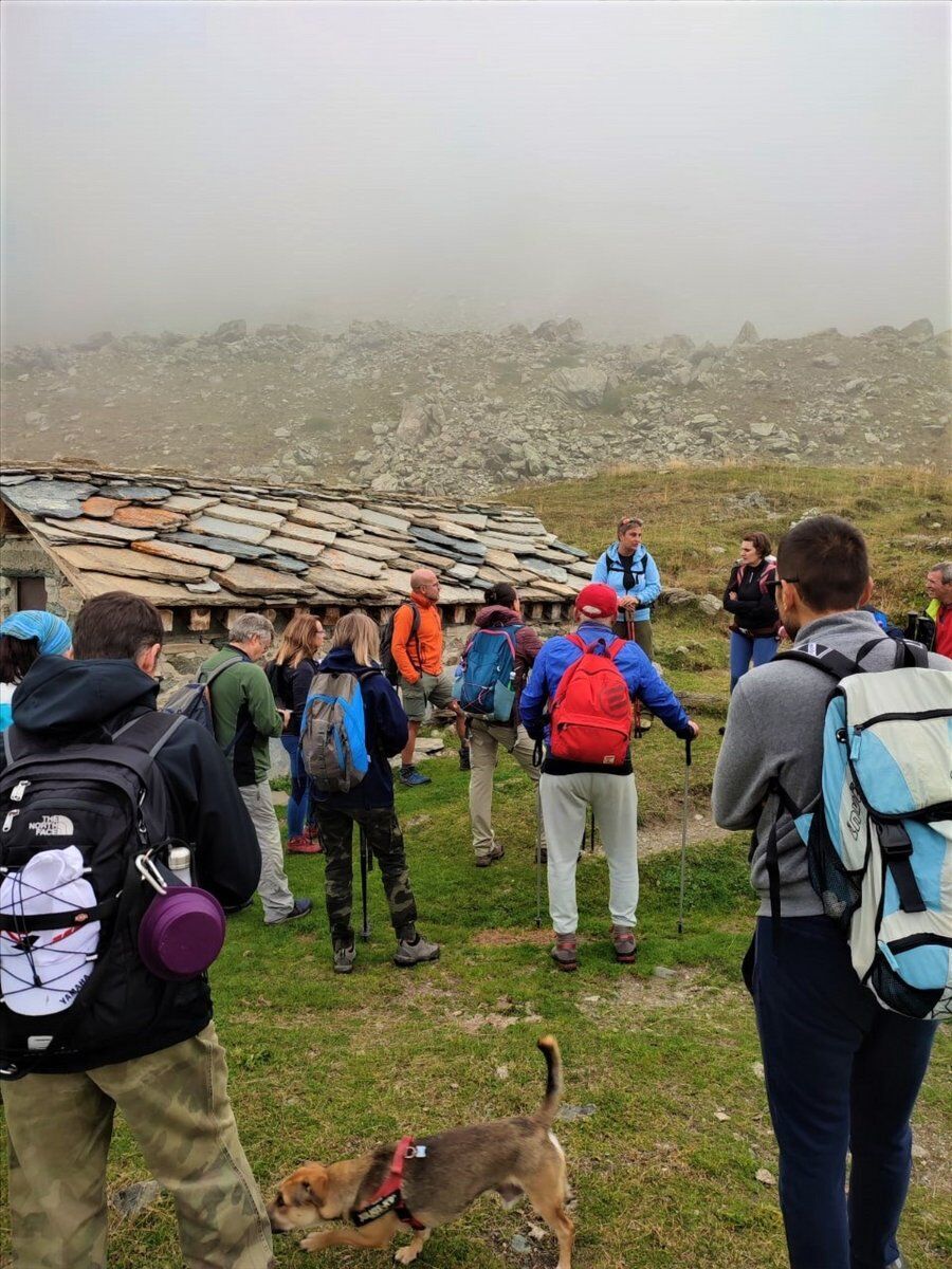 Pian Ciamarella: Passeggiata tra gli alpeggi delle Valli di Lanzo Pian Ciamarella: Passeggiata tra gli alpeggi delle Valli di Lanzo desktop picture