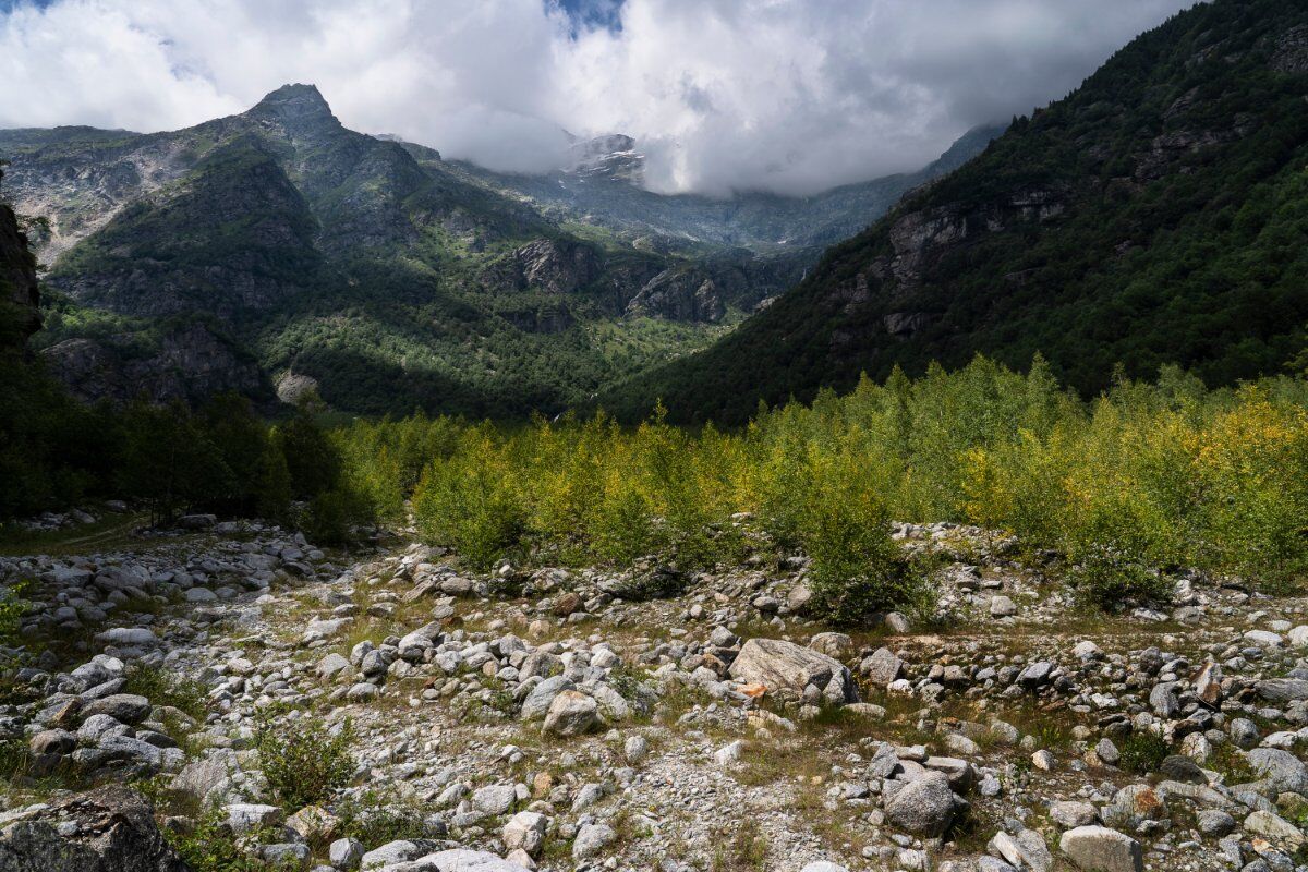 Escursione Serale nelle Alpi Graie: Alla ricerca del Bramito del Cervo desktop picture