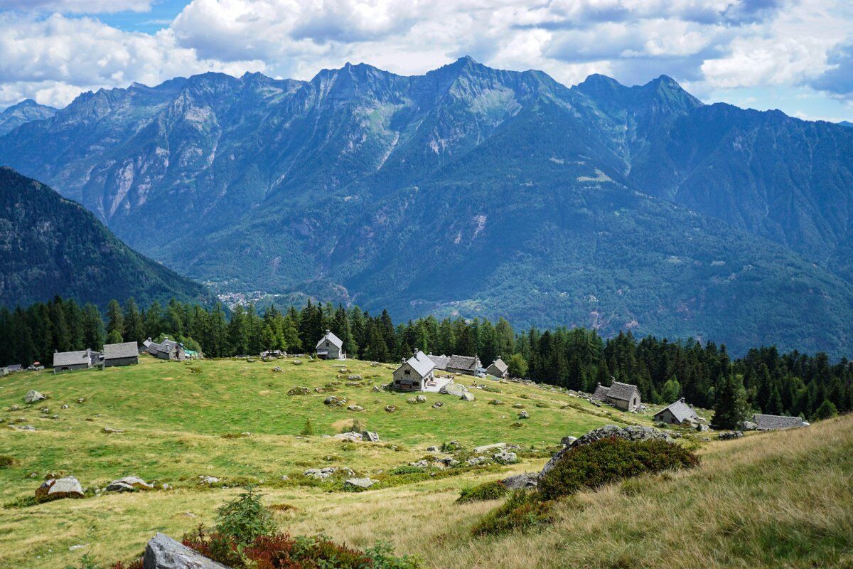 Boschi e Alpeggi al Monte Cistella: Alla Scoperta di un Angolo di Paradiso desktop picture