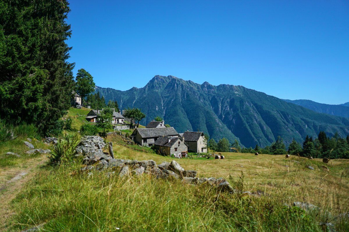 Boschi e Alpeggi al Monte Cistella: Alla Scoperta di un Angolo di Paradiso desktop picture