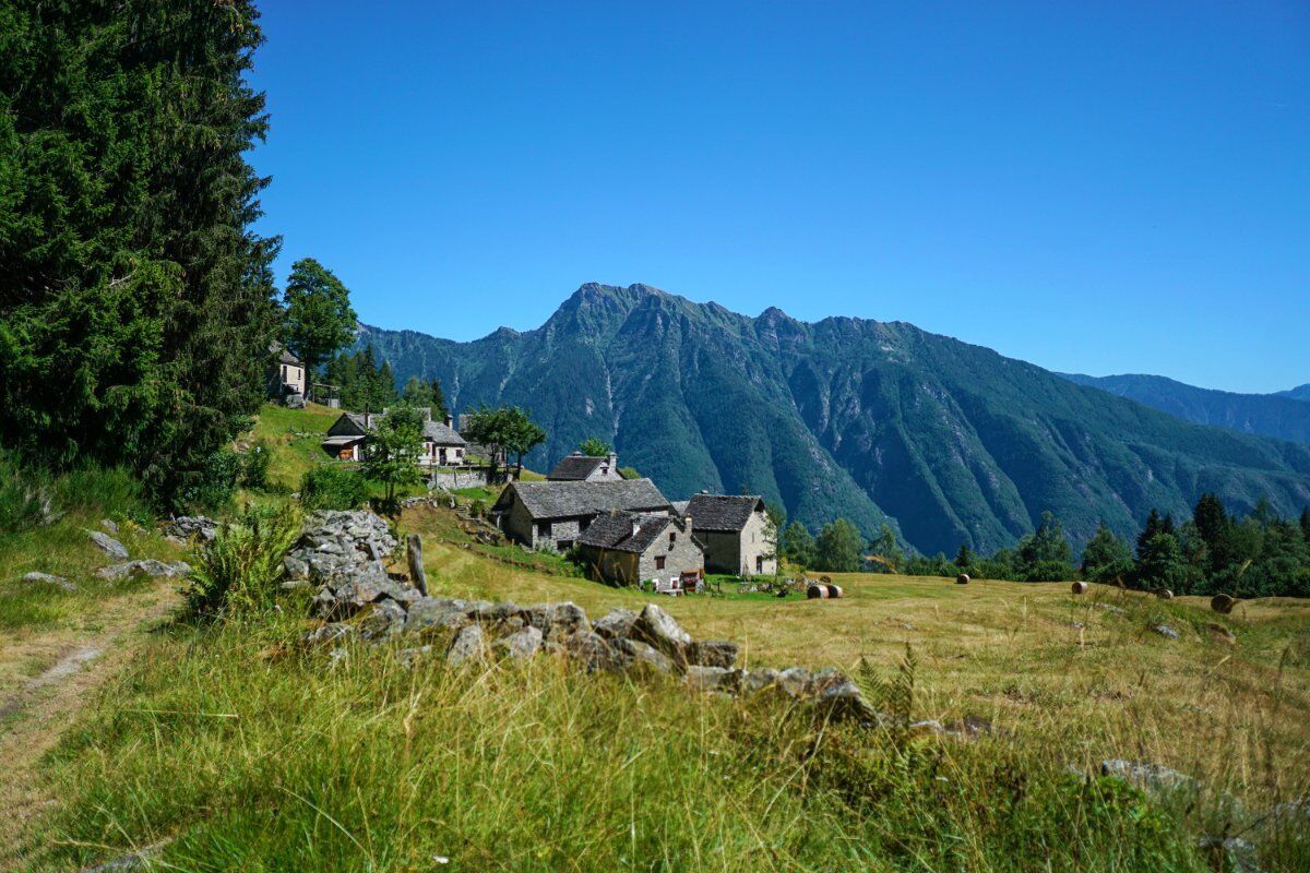 Boschi e Alpeggi al Monte Cistella: Alla Scoperta di un Angolo di Paradiso Boschi e Alpeggi al Monte Cistella: Alla Scoperta di un Angolo di Paradiso desktop picture