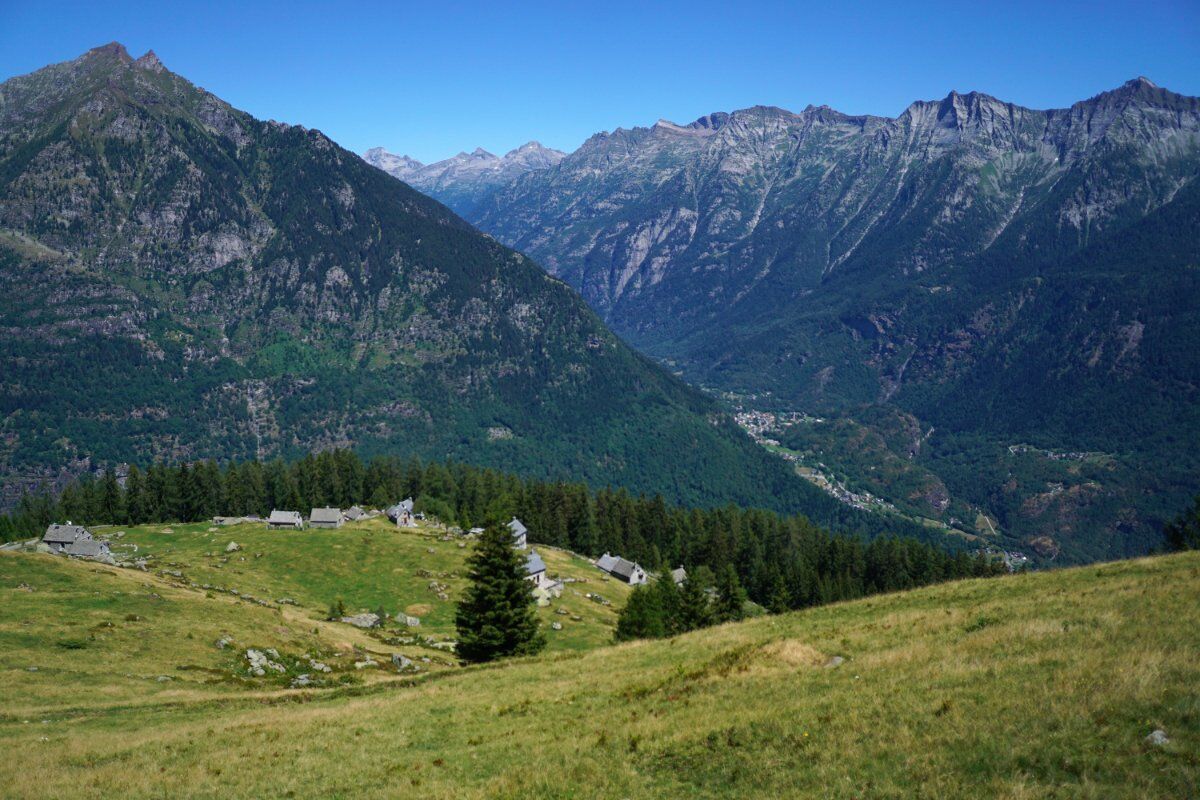 Boschi e Alpeggi al Monte Cistella: Alla Scoperta di un Angolo di Paradiso desktop picture