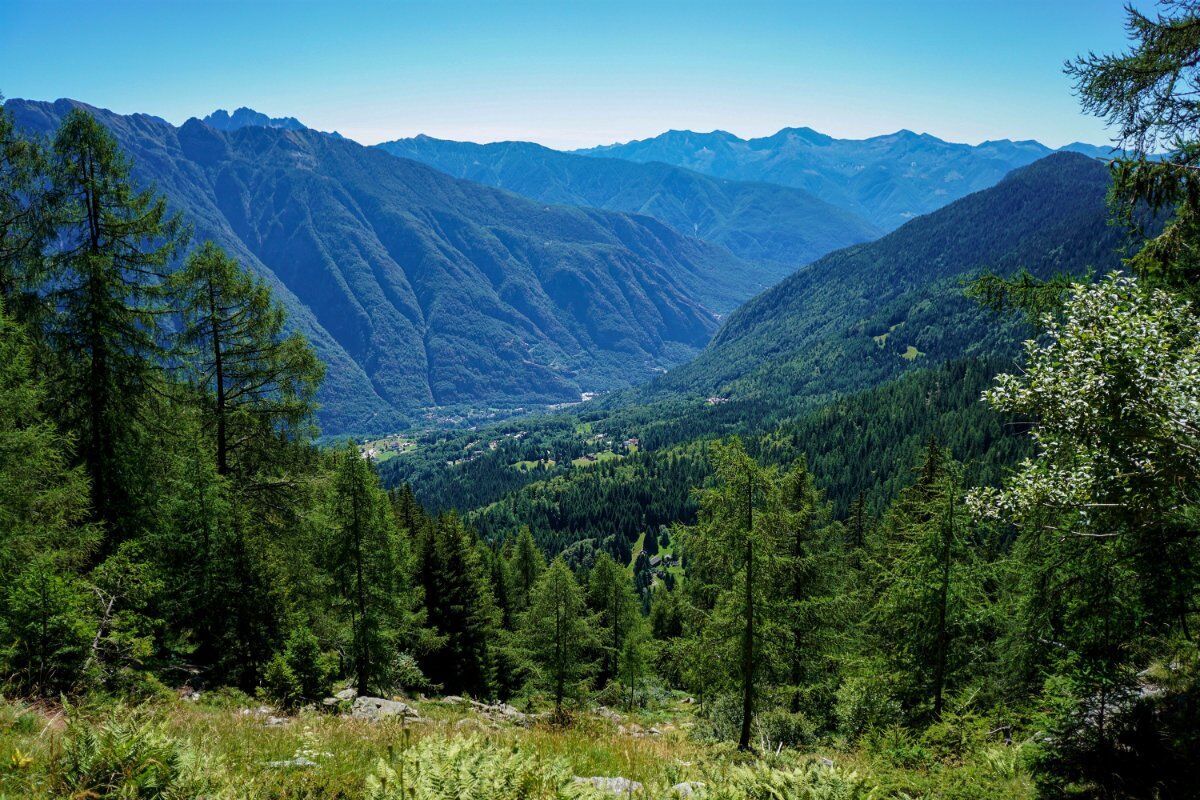 Boschi e Alpeggi al Monte Cistella: Alla Scoperta di un Angolo di Paradiso Boschi e Alpeggi al Monte Cistella: Alla Scoperta di un Angolo di Paradiso desktop picture