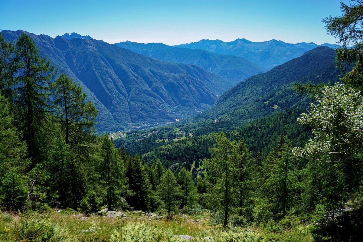 Boschi e Alpeggi al Monte Cistella: Alla Scoperta di un Angolo di Paradiso desktop picture