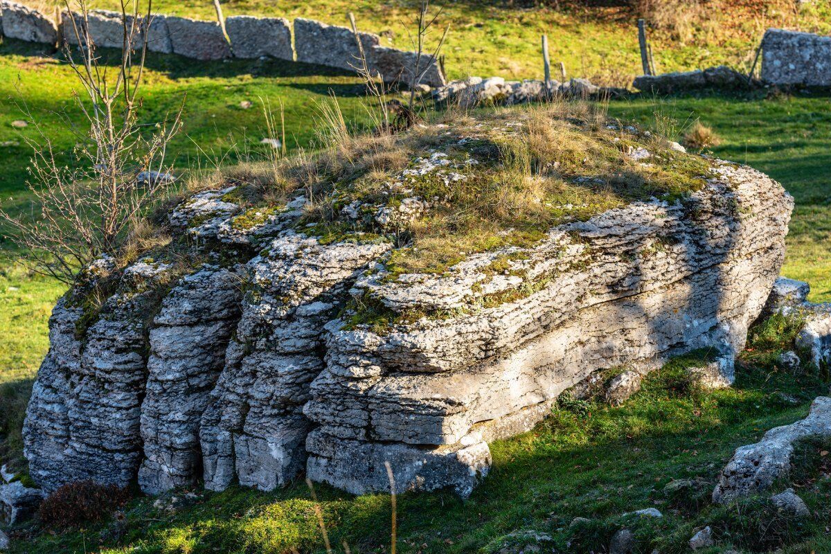 Misteriosa Città di Roccia nel Cuore della Lessinia: La Valle delle Sfingi - MATTINA Misteriosa Città di Roccia nel Cuore della Lessinia: La Valle delle Sfingi - MATTINA desktop picture