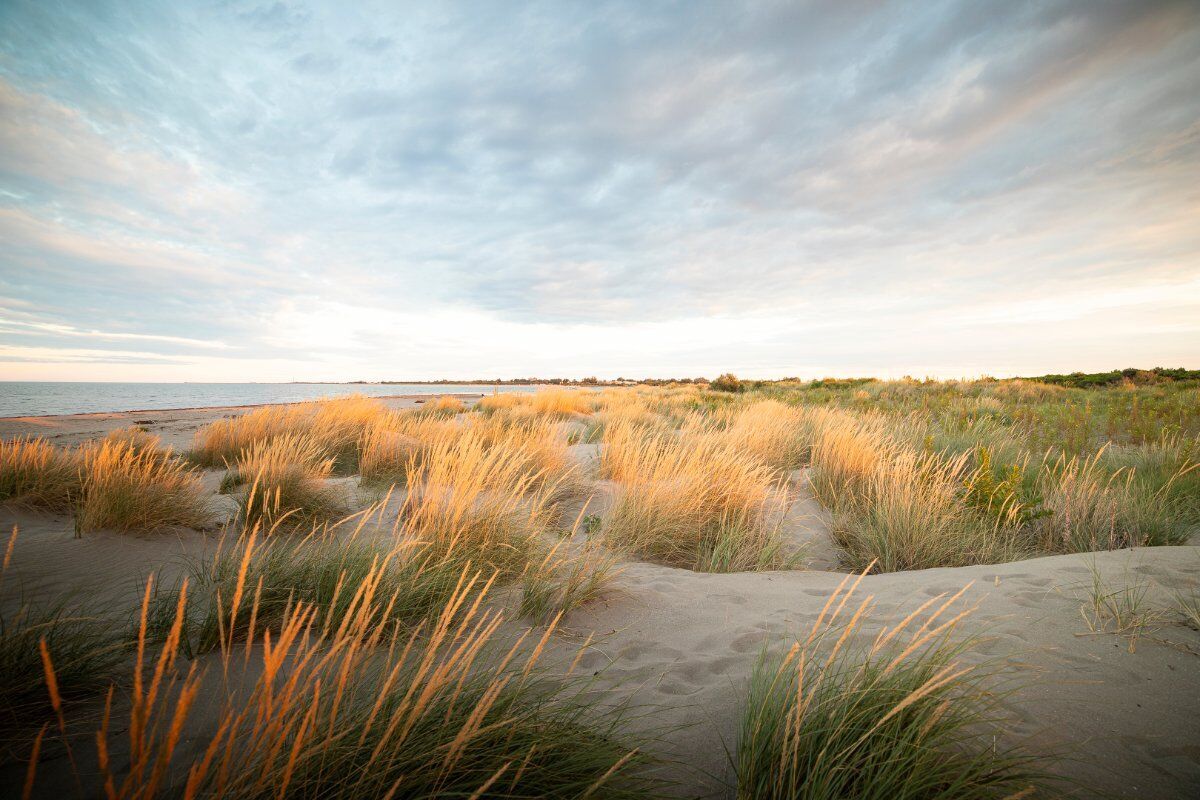 Breathwalk a Porto Caleri: Passeggiata Meditativa Cullati dalla Brezza Marina Breathwalk a Porto Caleri: Passeggiata Meditativa Cullati dalla Brezza Marina desktop picture