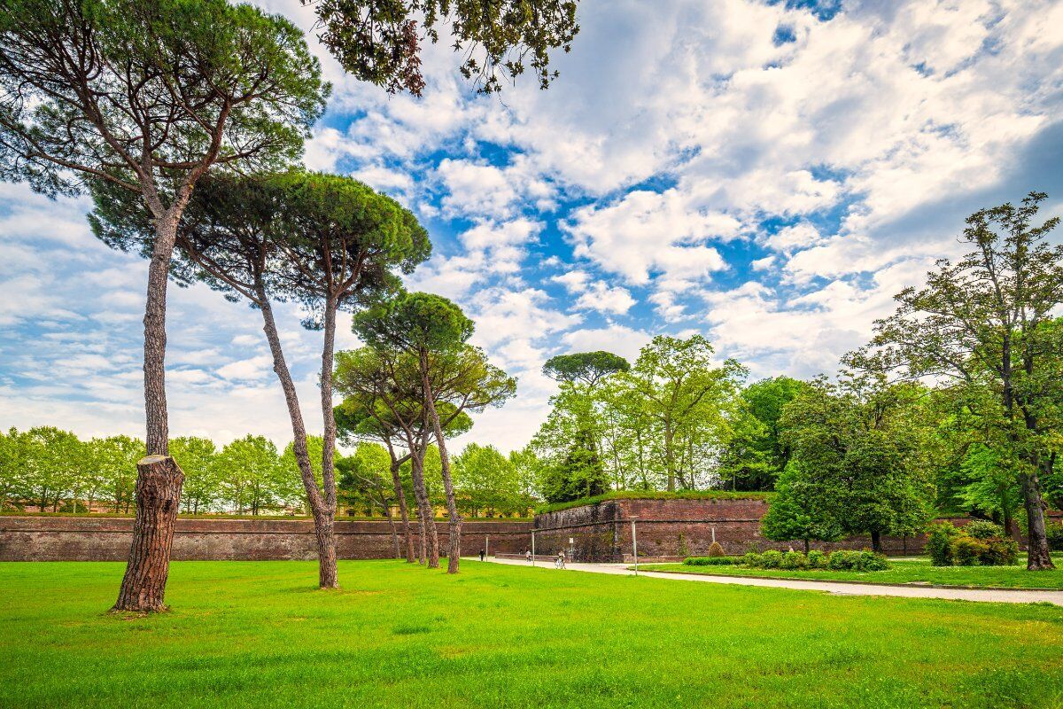 Lucca nel Verde: Spettacolari Giardini, Fontane e Alberi Secolari desktop picture