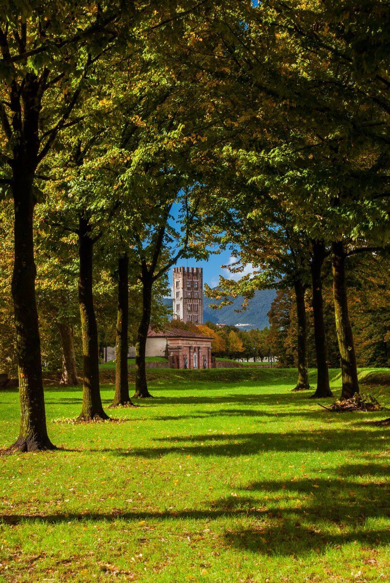Lucca nel Verde: Spettacolari Giardini, Fontane e Alberi Secolari desktop picture