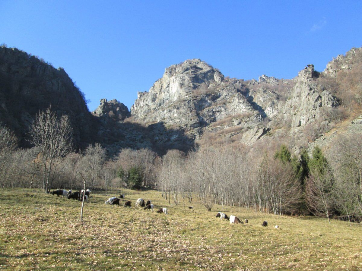Da Cantoira a Lities: Escursione al Museo a Cielo Aperto Da Cantoira a Lities: Escursione al Museo a Cielo Aperto desktop picture