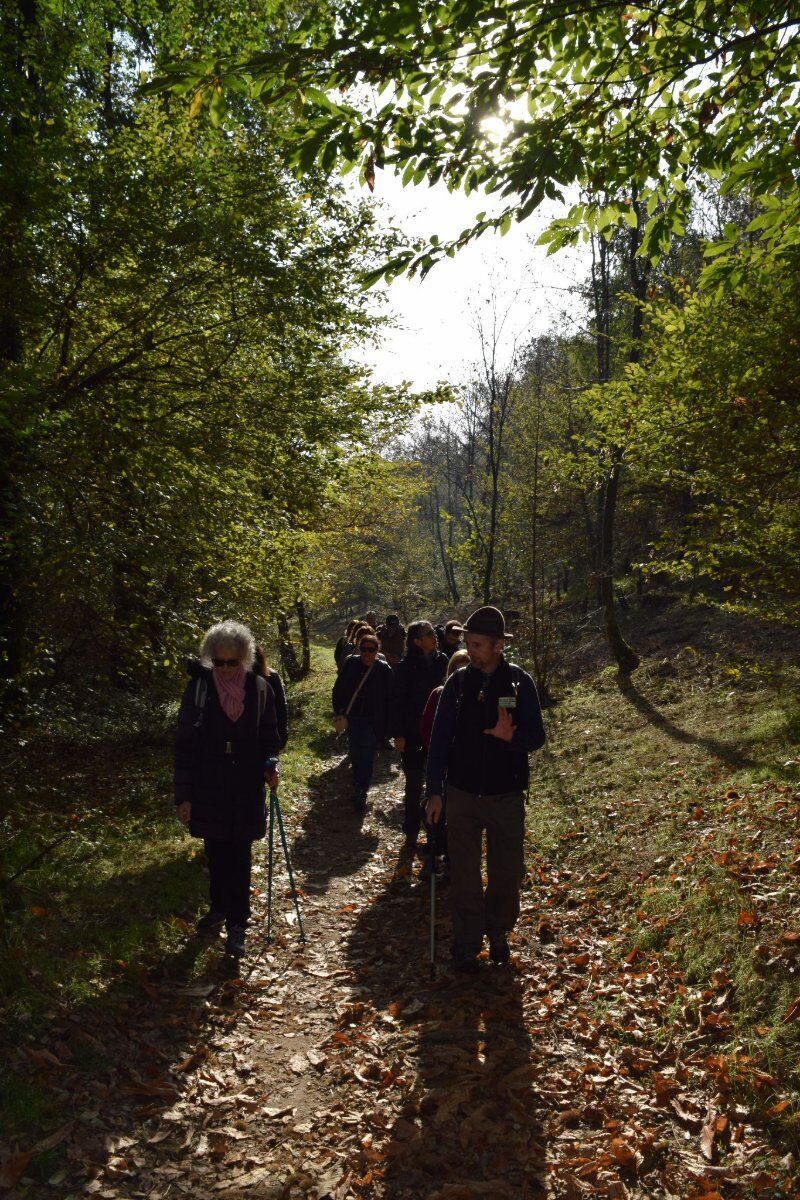 Camminata nella Biodiversità: la Riserva Naturale Fontana del Guercio Camminata nella Biodiversità: la Riserva Naturale Fontana del Guercio desktop picture