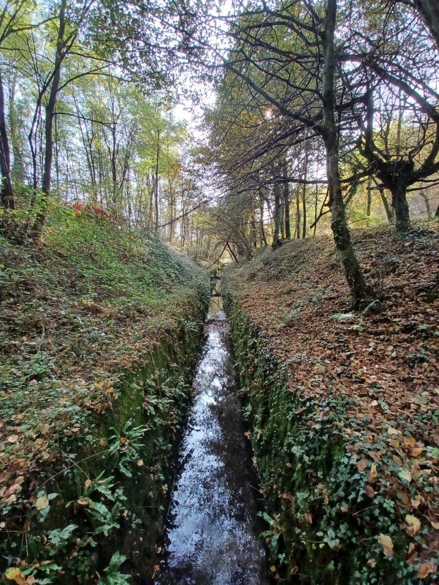 Camminata nella Biodiversità: la Riserva Naturale Fontana del Guercio Camminata nella Biodiversità: la Riserva Naturale Fontana del Guercio desktop picture