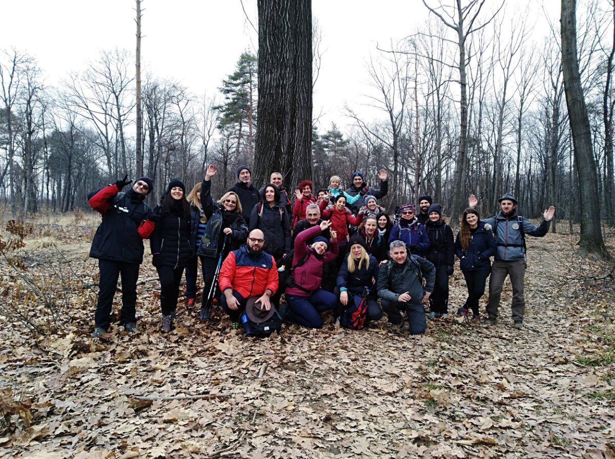 Parco Pineta: Escursione con Pic-Nic Sotto le Stelle desktop picture