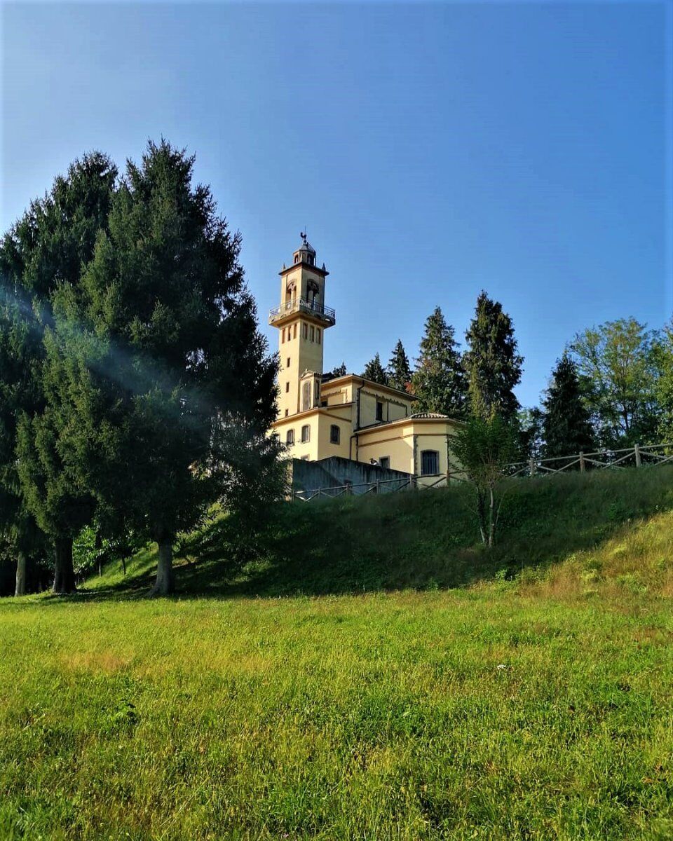 Passeggiata tra boschi e stagni del Parco Pineta di Appiano Gentile desktop picture