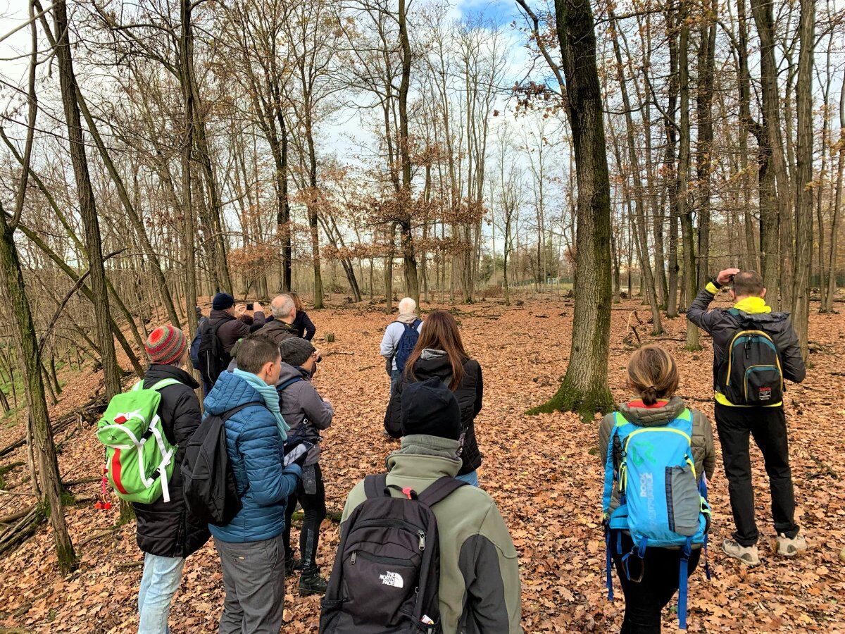 Passeggiata Esclusiva nell'Oasi Naturale del Parco degli Aironi Passeggiata Esclusiva nell'Oasi Naturale del Parco degli Aironi desktop picture