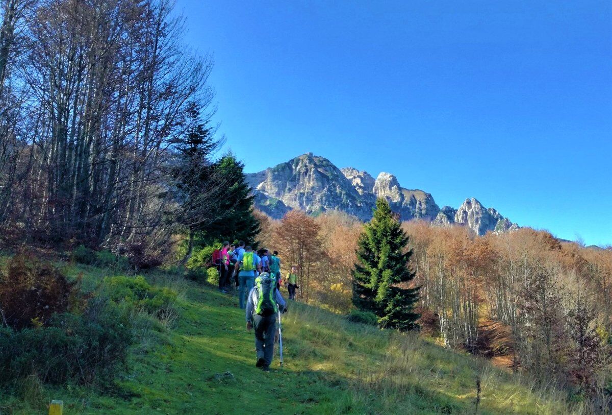 Cima Campogrosso: ciaspolata nel cuore delle Piccole Dolomiti Cima Campogrosso: ciaspolata nel cuore delle Piccole Dolomiti desktop picture